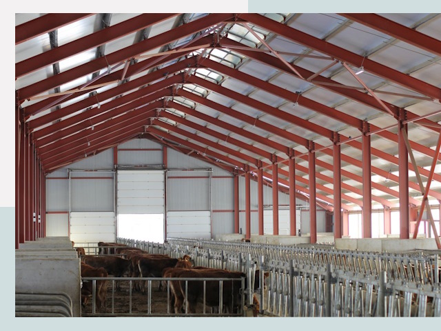 Строительство коровников в Заинске