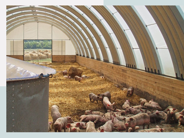 Строительство свинарников в Заинске