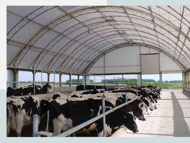 Тентовые коровники в Заинске